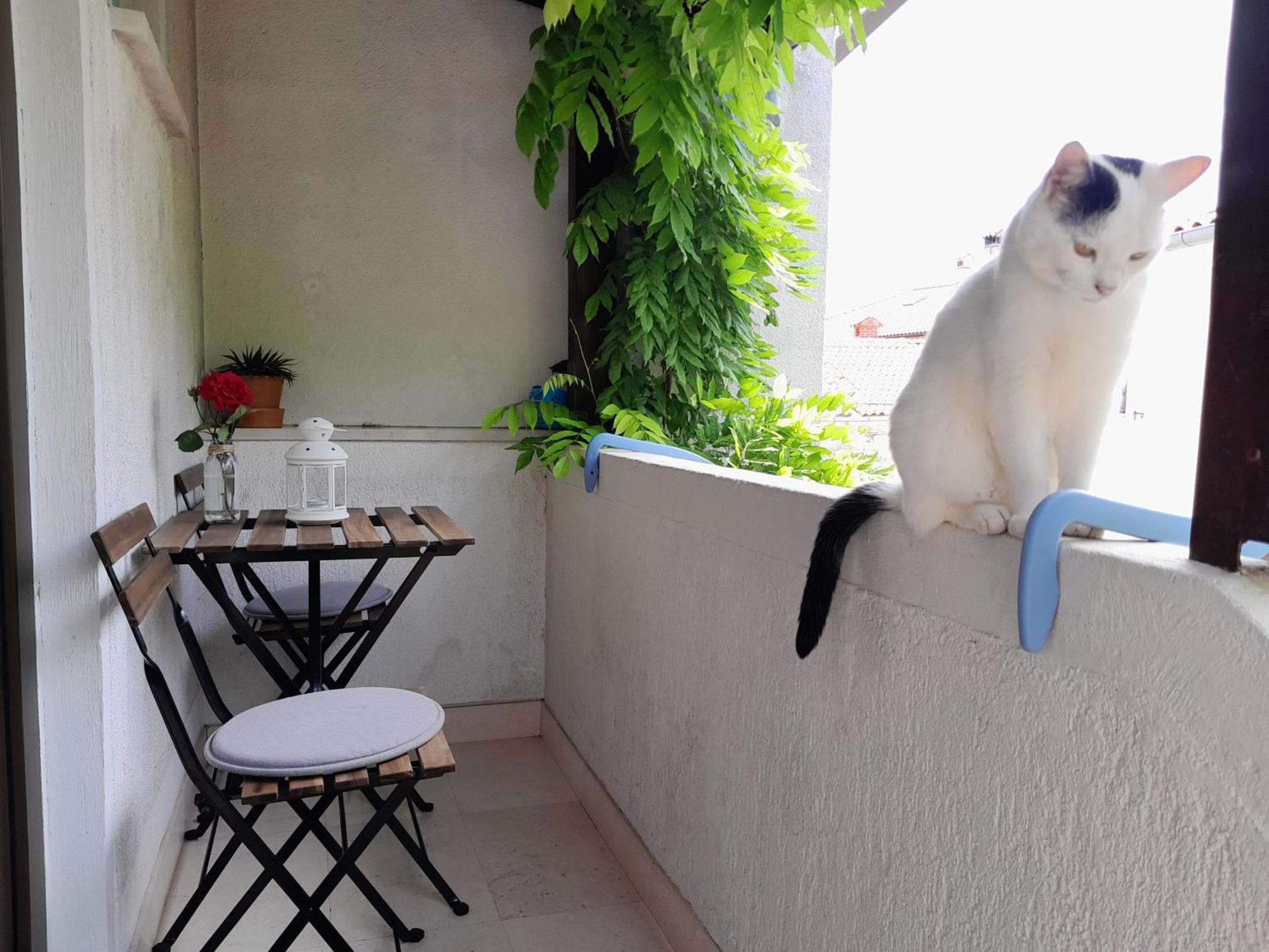 Apartments Renata - เบรอเซส ภายนอก รูปภาพ